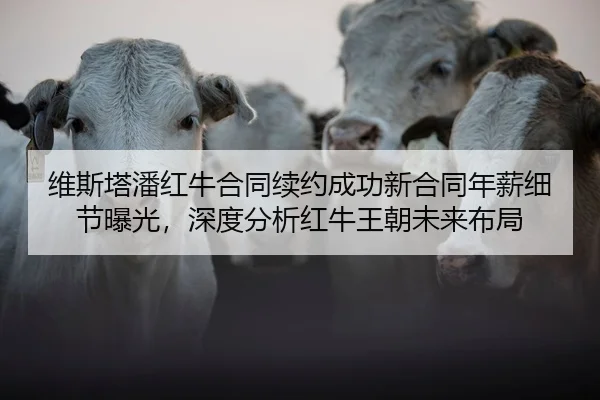 wei-si-ta-pan-hong-niu-he-tong-xu-yue-cheng-gong-xin-he-tong-nian-xin-xi-jie-bao-guang-shen-du-fen-xi-hong-niu-wang-2-580.jpg